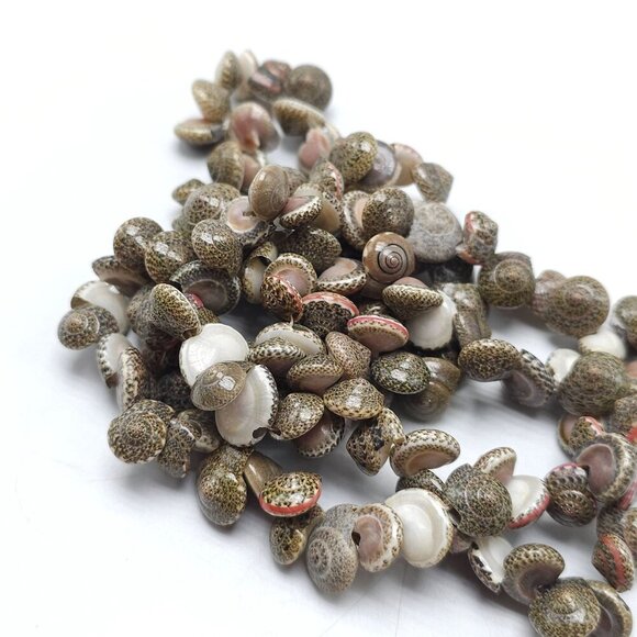 Natural Gray Hawaiian Umbonium Sea Shell Beaded Necklace Lei No Clasp Bohemian - Picture 6 of 7